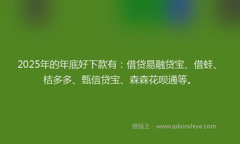 2025年的年底好下款有：借贷易融贷宝、借蛙、桔多多、甄信贷宝、森森花呗通等。