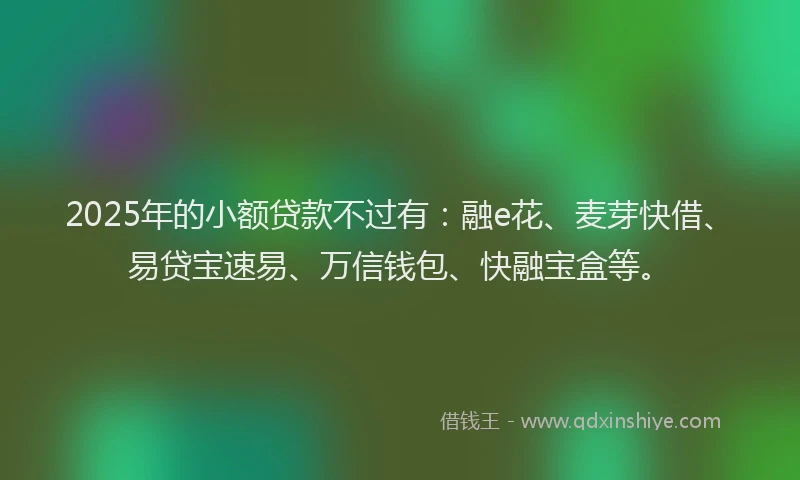 2025年的小额贷款不过有：融e花、麦芽快借、易贷宝速易、万信钱包、快融宝盒等。