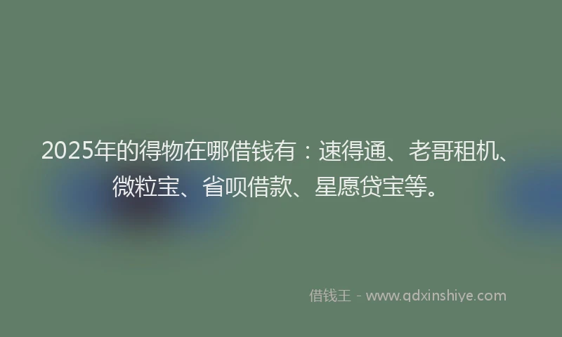 2025年的得物在哪借钱有：速得通、老哥租机、微粒宝、省呗借款、星愿贷宝等。