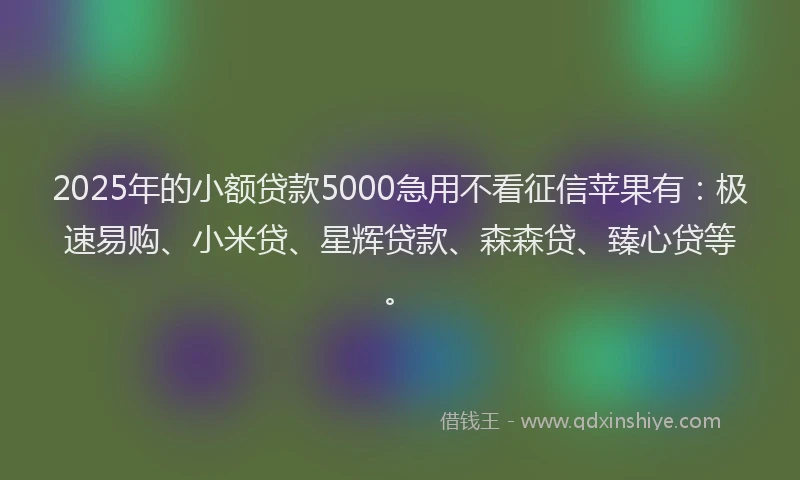 2025年的小额贷款5000急用不看征信苹果有：极速易购、小米贷、星辉贷款、森森贷、臻心贷等。