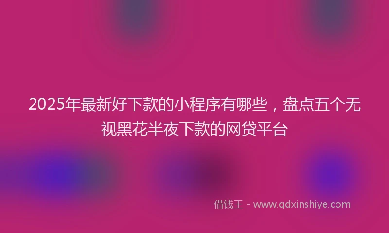 2025年最新好下款的小程序有哪些，盘点五个无视黑花半夜下款的网贷平台