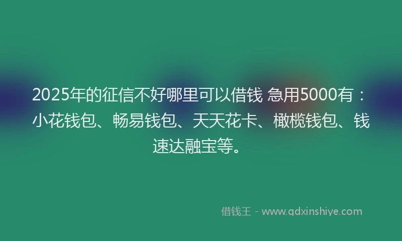 2025年的征信不好哪里可以借钱 急用5000有：小花钱包、畅易钱包、天天花卡、橄榄钱包、钱速达融宝等。