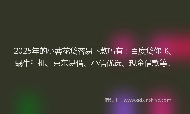2025年的小蓉花贷容易下款吗有：百度贷你飞、蜗牛租机、京东易借、小信优选、现金借款等。