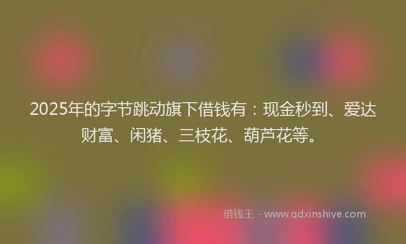 2025年的字节跳动旗下借钱有：现金秒到、爱达财富、闲猪、三枝花、葫芦花等。