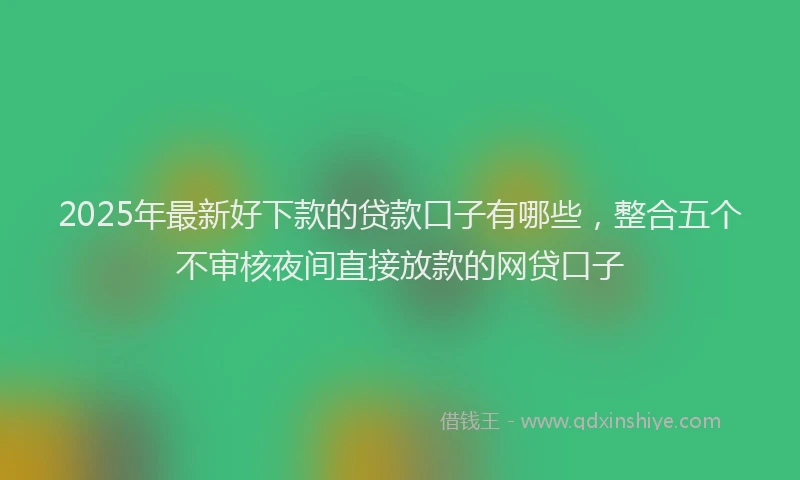 2025年最新好下款的贷款口子有哪些，整合五个不审核夜间直接放款的网贷口子