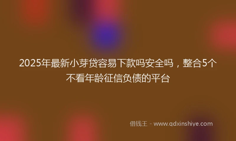 2025年最新小芽贷容易下款吗安全吗，整合5个不看年龄征信负债的平台