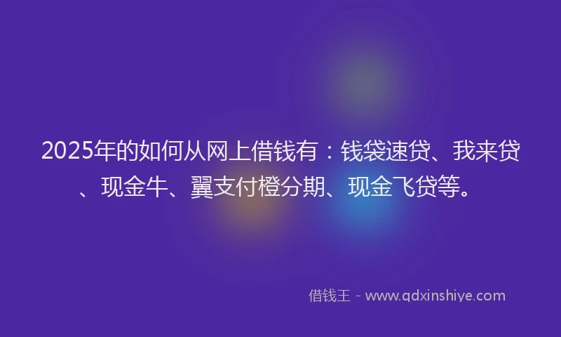 2025年的如何从网上借钱有：钱袋速贷、我来贷、现金牛、翼支付橙分期、现金飞贷等。