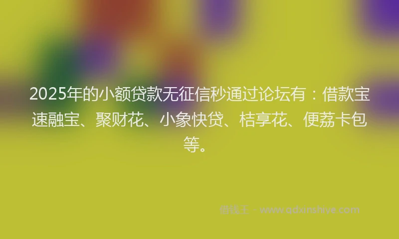 2025年的小额贷款无征信秒通过论坛有：借款宝速融宝、聚财花、小象快贷、桔享花、便荔卡包等。