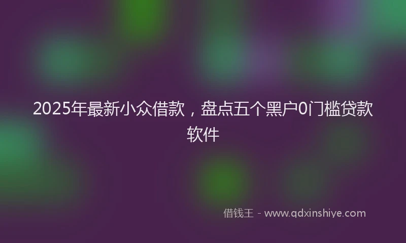 2025年最新小众借款，盘点五个黑户0门槛贷款软件
