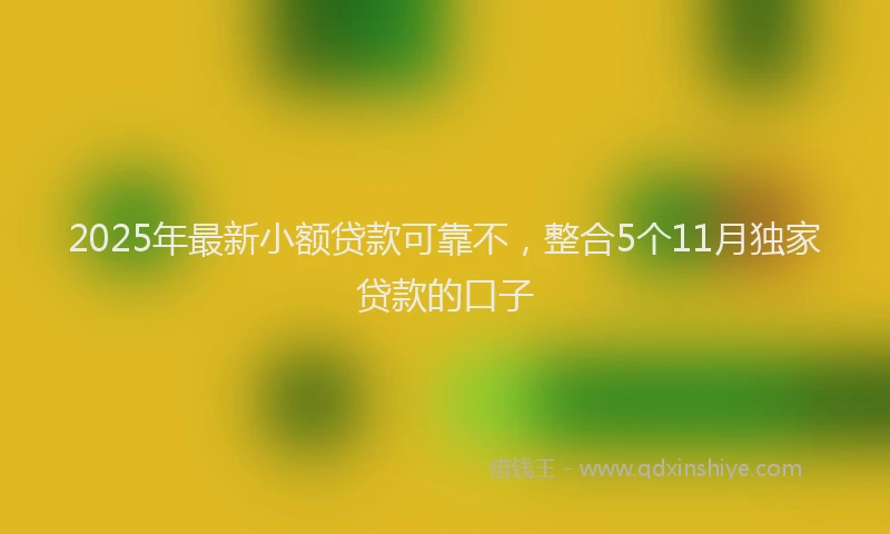 2025年最新小额贷款可靠不，整合5个11月独家贷款的口子
