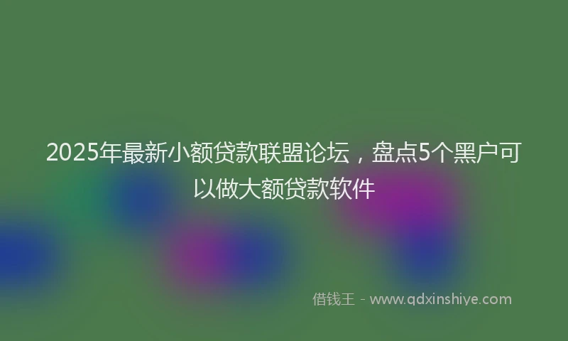 2025年最新小额贷款联盟论坛，盘点5个黑户可以做大额贷款软件