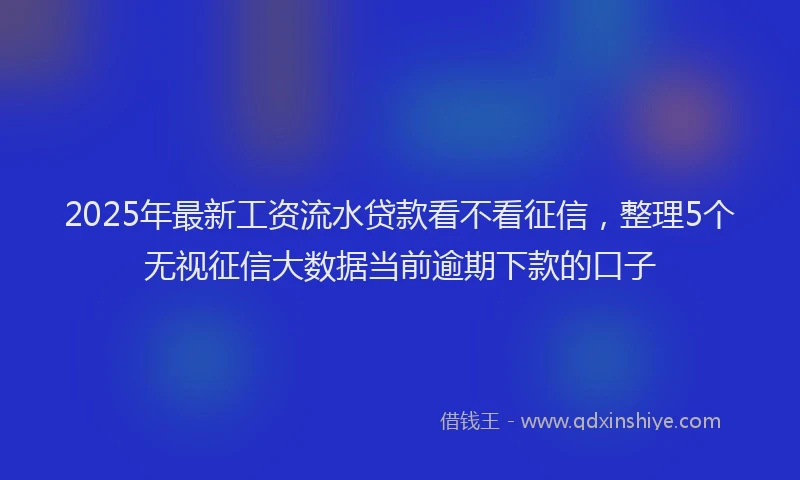 2025年最新工资流水贷款看不看征信，整理5个无视征信大数据当前逾期下款的口子