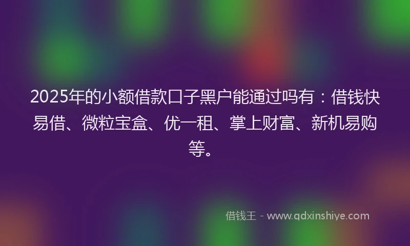 2025年的小额借款口子黑户能通过吗有：借钱快易借、微粒宝盒、优一租、掌上财富、新机易购等。