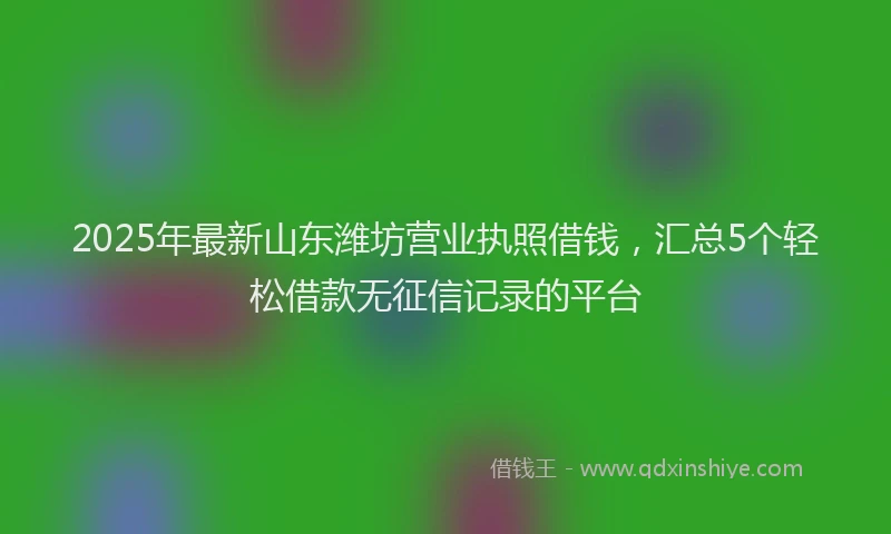 2025年最新山东潍坊营业执照借钱，汇总5个轻松借款无征信记录的平台