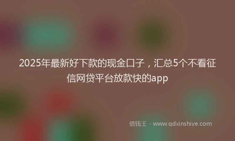 2025年最新好下款的现金口子，汇总5个不看征信网贷平台放款快的app