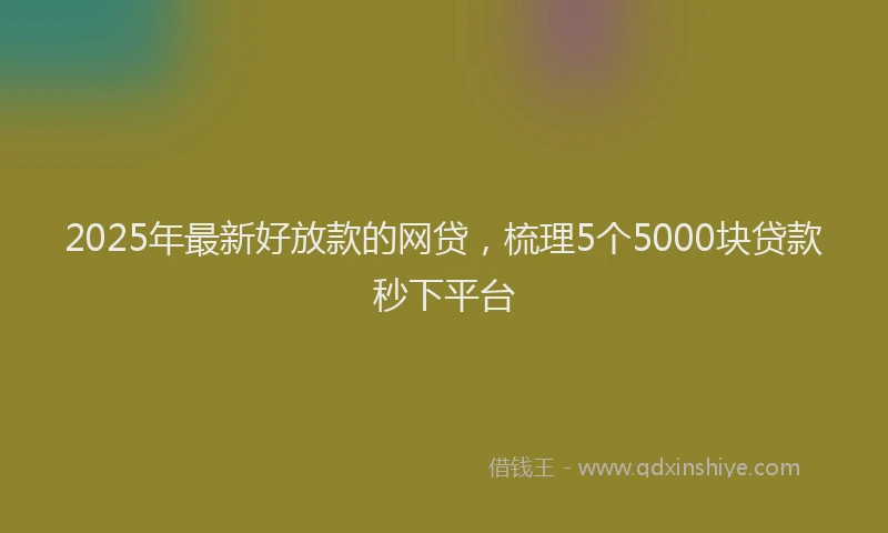 2025年最新好放款的网贷，梳理5个5000块贷款秒下平台