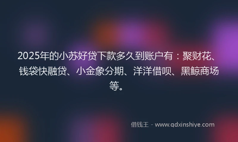 2025年的小苏好贷下款多久到账户有：聚财花、钱袋快融贷、小金象分期、洋洋借呗、黑鲸商场等。