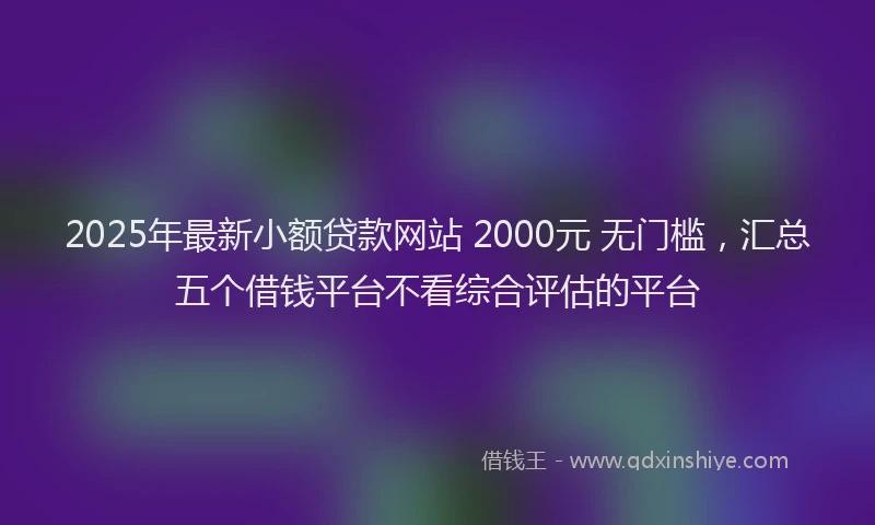 2025年最新小额贷款网站 2000元 无门槛，汇总五个借钱平台不看综合评估的平台