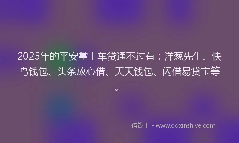 2025年的平安掌上车贷通不过有：洋葱先生、快鸟钱包、头条放心借、天天钱包、闪借易贷宝等。