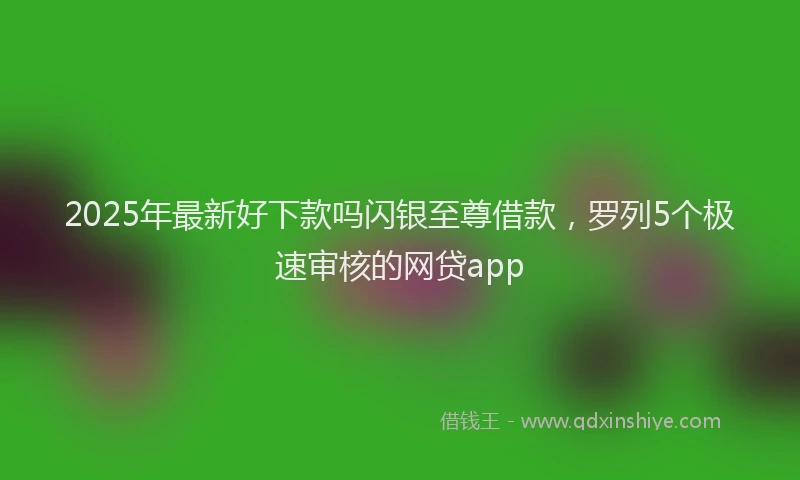 2025年最新好下款吗闪银至尊借款，罗列5个极速审核的网贷app