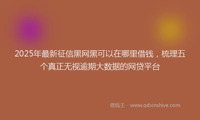 2025年最新征信黑网黑可以在哪里借钱，梳理五个真正无视逾期大数据的网贷平台