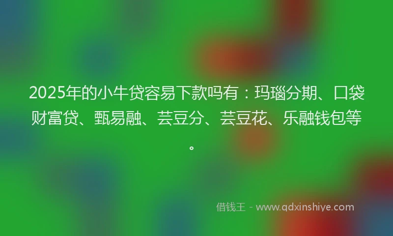 2025年的小牛贷容易下款吗有：玛瑙分期、口袋财富贷、甄易融、芸豆分、芸豆花、乐融钱包等。