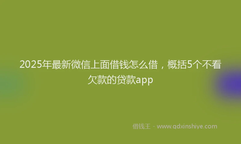 2025年最新微信上面借钱怎么借，概括5个不看欠款的贷款app