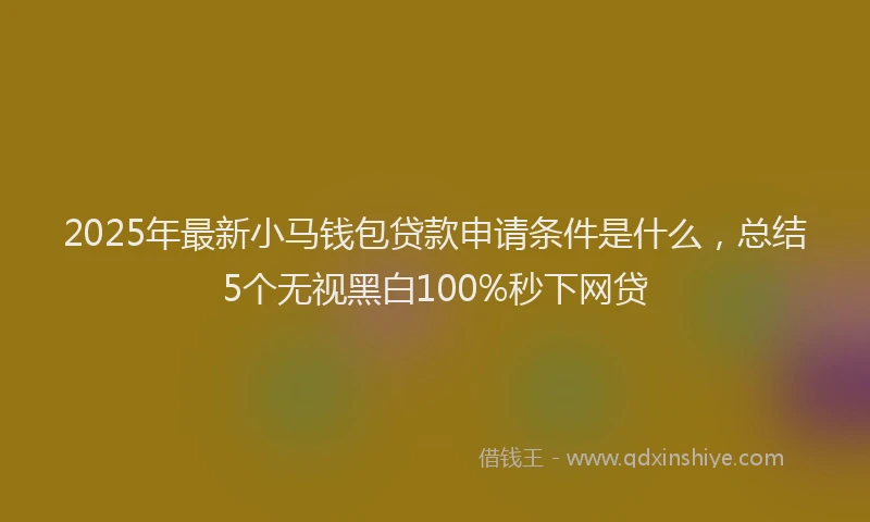 2025年最新小马钱包贷款申请条件是什么，总结5个无视黑白100%秒下网贷