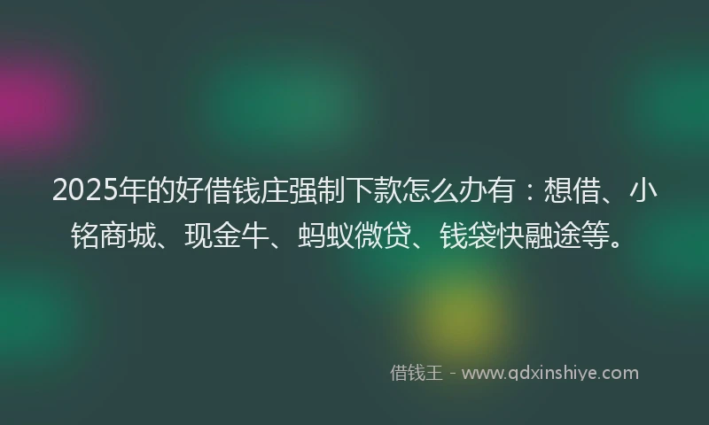 2025年的好借钱庄强制下款怎么办有：想借、小铭商城、现金牛、蚂蚁微贷、钱袋快融途等。