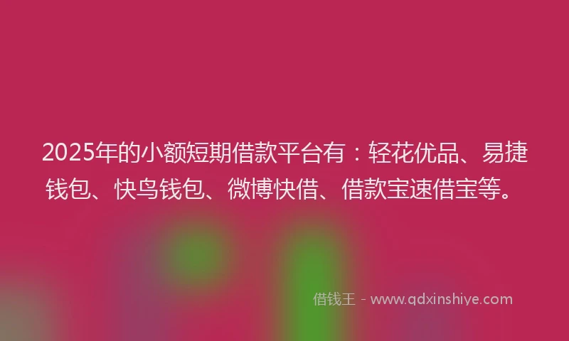2025年的小额短期借款平台有：轻花优品、易捷钱包、快鸟钱包、微博快借、借款宝速借宝等。