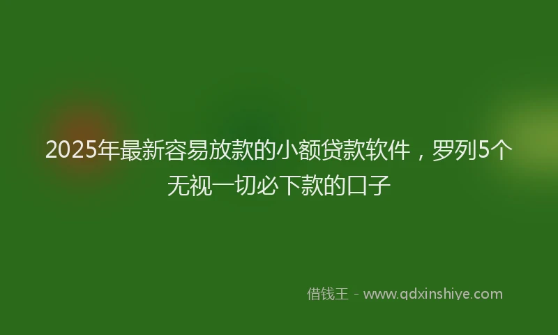 2025年最新容易放款的小额贷款软件，罗列5个无视一切必下款的口子