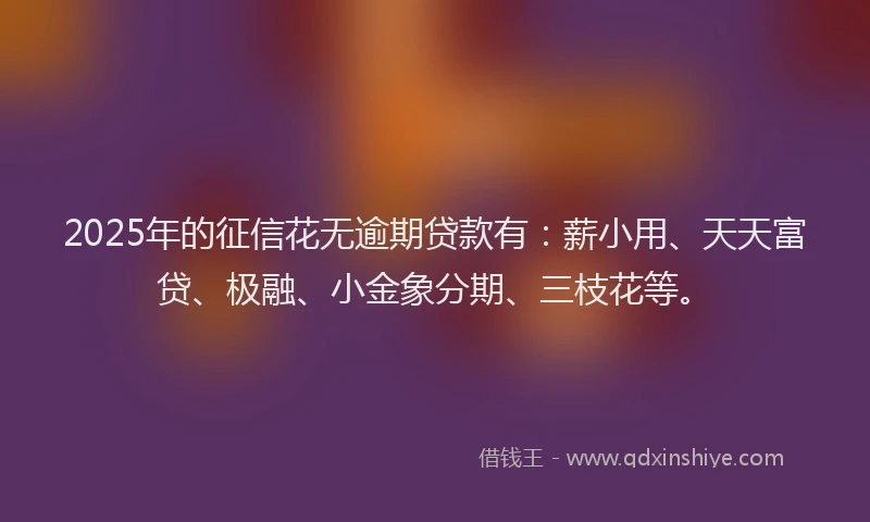 2025年的征信花无逾期贷款有：薪小用、天天富贷、极融、小金象分期、三枝花等。