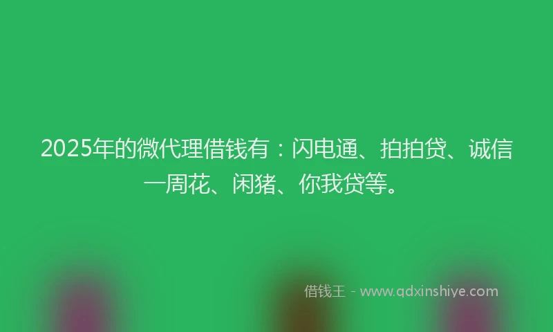 2025年的微代理借钱有：闪电通、拍拍贷、诚信一周花、闲猪、你我贷等。