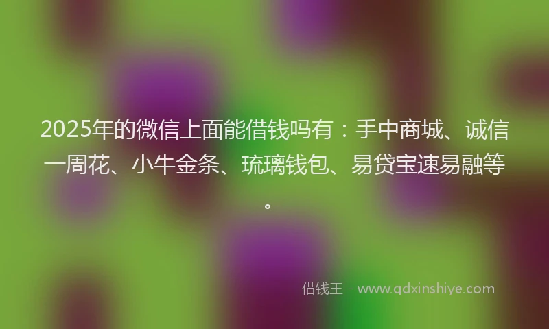 2025年的微信上面能借钱吗有：手中商城、诚信一周花、小牛金条、琉璃钱包、易贷宝速易融等。