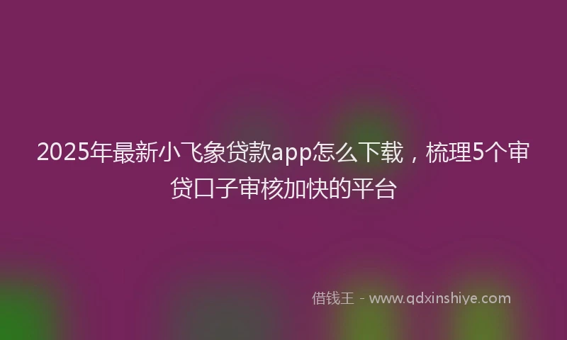 2025年最新小飞象贷款app怎么下载，梳理5个审贷口子审核加快的平台