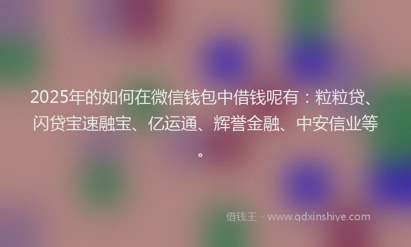 2025年的如何在微信钱包中借钱呢有：粒粒贷、闪贷宝速融宝、亿运通、辉誉金融、中安信业等。