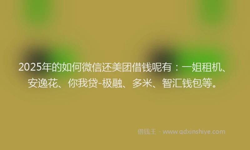 2025年的如何微信还美团借钱呢有：一姐租机、安逸花、你我贷-极融、多米、智汇钱包等。