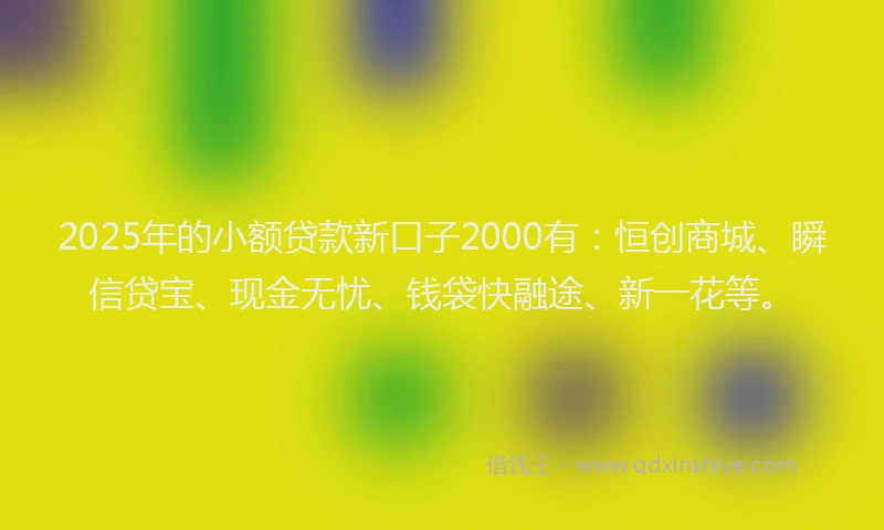 2025年的小额贷款新口子2000有：恒创商城、瞬信贷宝、现金无忧、钱袋快融途、新一花等。