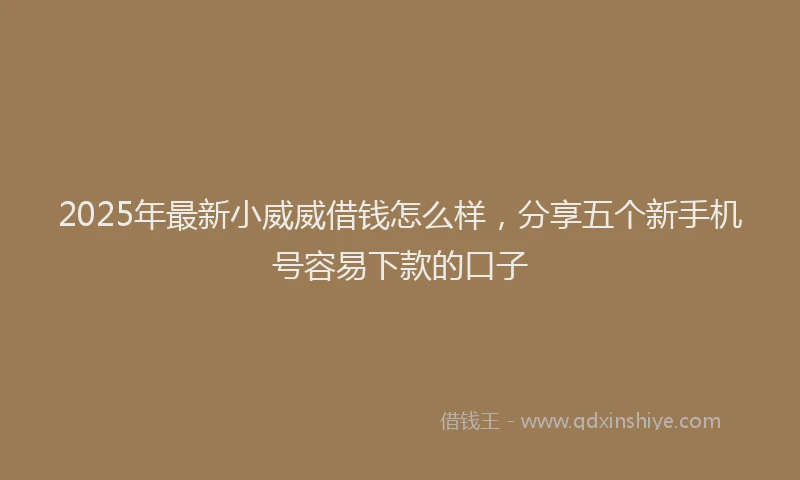 2025年最新小威威借钱怎么样，分享五个新手机号容易下款的口子