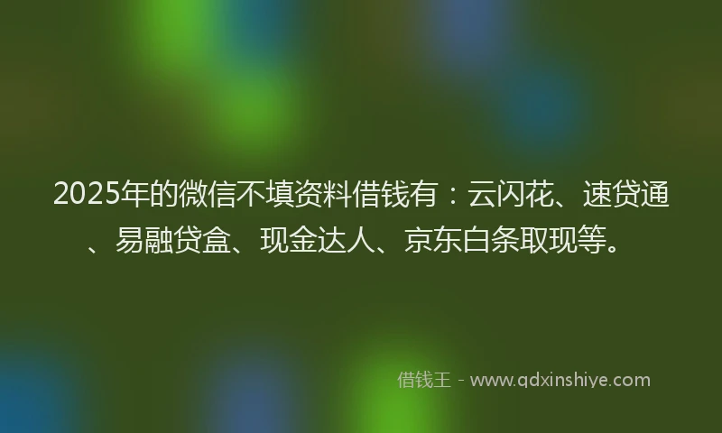 2025年的微信不填资料借钱有：云闪花、速贷通、易融贷盒、现金达人、京东白条取现等。