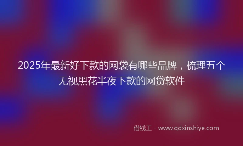 2025年最新好下款的网袋有哪些品牌，梳理五个无视黑花半夜下款的网贷软件