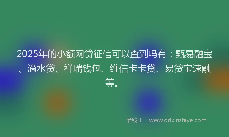 2025年的小额网贷征信可以查到吗有：甄易融宝、滴水贷、祥瑞钱包、维信卡卡贷、易贷宝速融等。