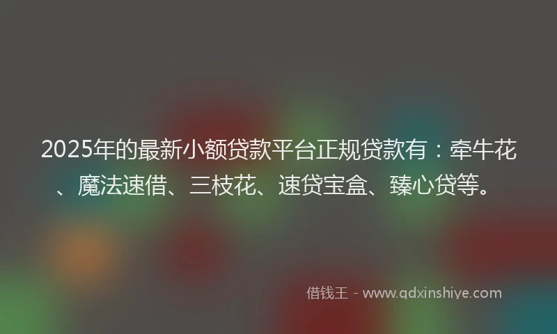 2025年的最新小额贷款平台正规贷款有：牵牛花、魔法速借、三枝花、速贷宝盒、臻心贷等。