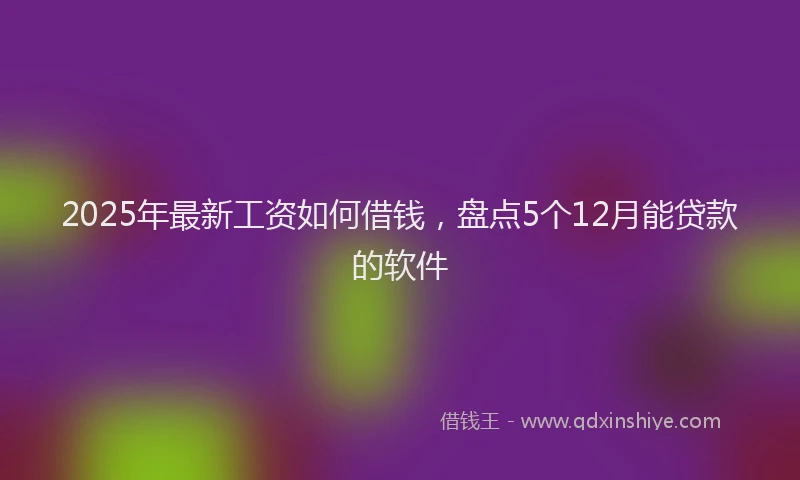 2025年最新工资如何借钱，盘点5个12月能贷款的软件