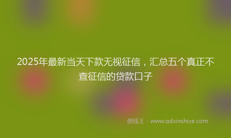 2025年最新当天下款无视征信，汇总五个真正不查征信的贷款口子