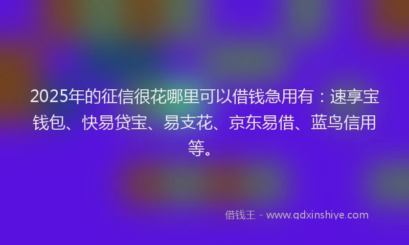 2025年的征信很花哪里可以借钱急用有：速享宝钱包、快易贷宝、易支花、京东易借、蓝鸟信用等。