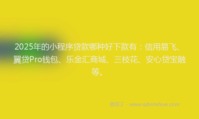 2025年的小程序贷款哪种好下款有：信用易飞、翼贷Pro钱包、乐金汇商城、三枝花、安心贷宝融等。