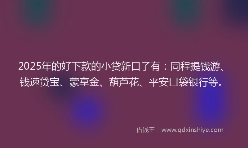 2025年的好下款的小贷新口子有：同程提钱游、钱速贷宝、蒙享金、葫芦花、平安口袋银行等。