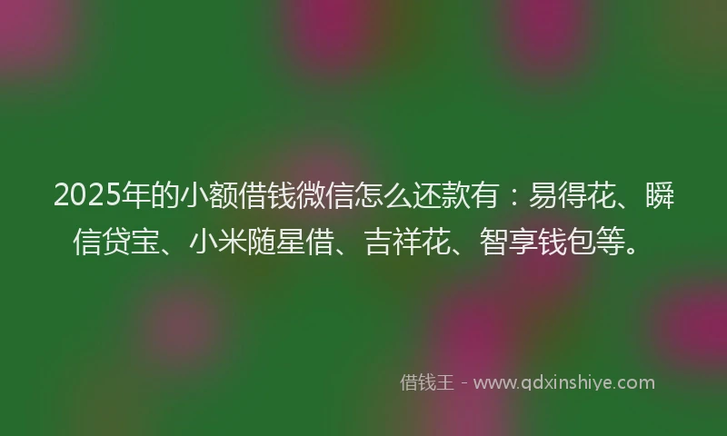 2025年的小额借钱微信怎么还款有：易得花、瞬信贷宝、小米随星借、吉祥花、智享钱包等。