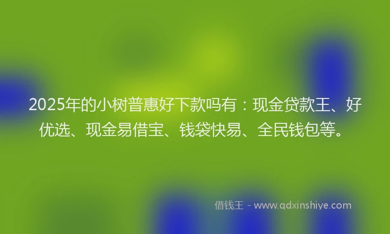 2025年的小树普惠好下款吗有：现金贷款王、好优选、现金易借宝、钱袋快易、全民钱包等。